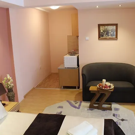 Guest Accommodation Zone Niska Banja Room photo