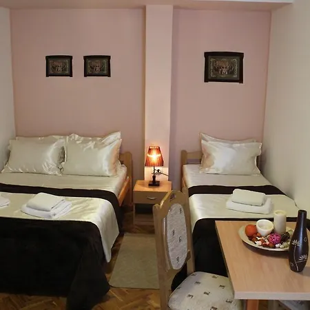 Guest Accommodation Zone Niska Banja Room photo